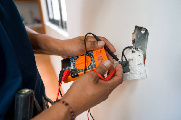Best Electric Panel Repair  in Wisr, NE
