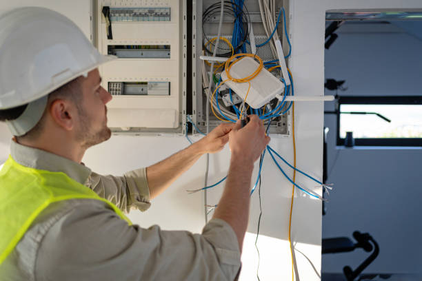 Best Electrical System Inspection  in Wisr, NE